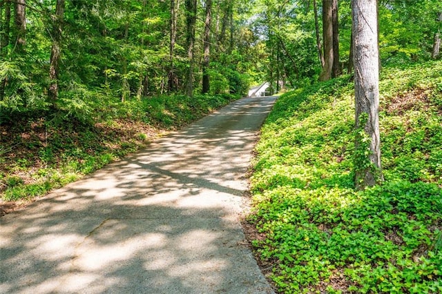 465 Willowbrook Dr SE, Smyrna, GA 30082 - view of road featuring a forest view
