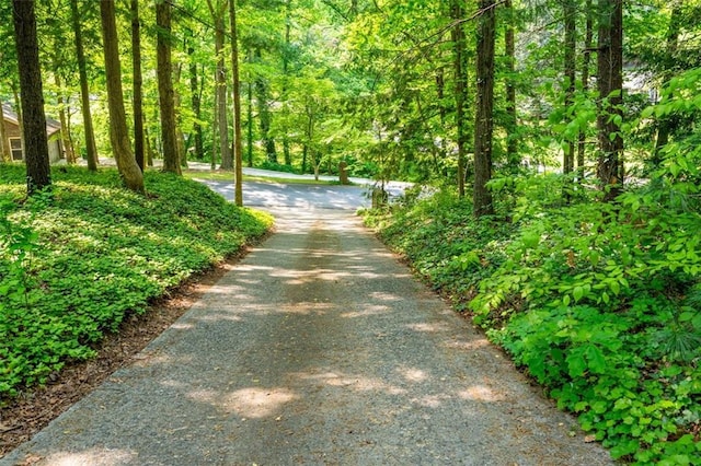 465 Willowbrook Dr SE, Smyrna, GA 30082 - view of road with a wooded view
