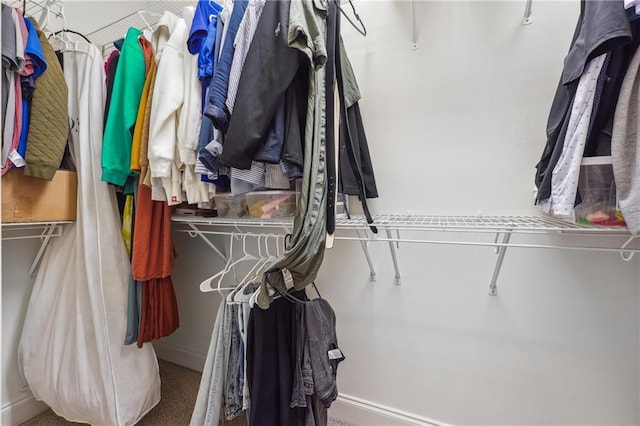 view of spacious closet