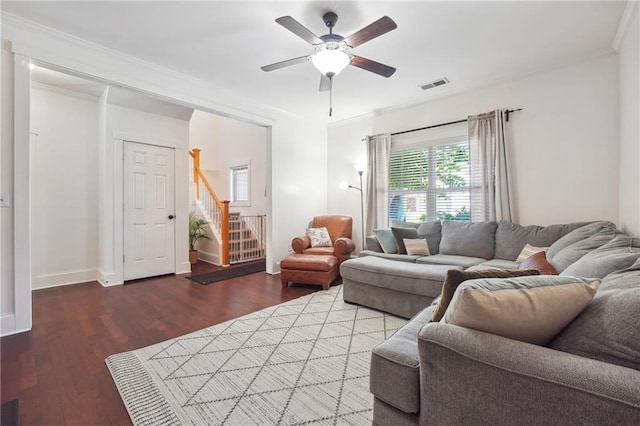 living room featuring ornamental molding, ceiling fan, and dark wood-type flooring