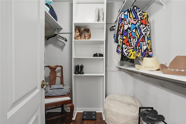 spacious closet featuring dark wood-style floors