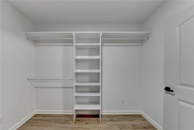 spacious closet featuring wood finished floors