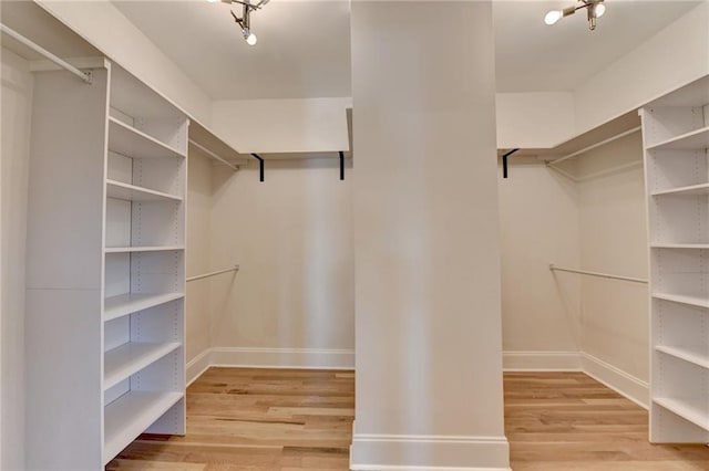 walk in closet with light wood-type flooring