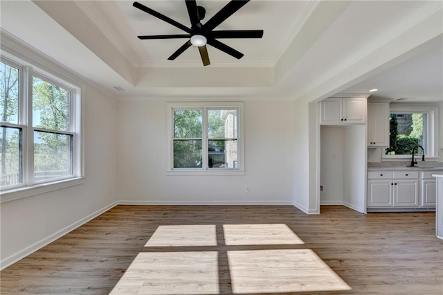 interior space featuring a tray ceiling, light wood-style flooring, and a wealth of natural light