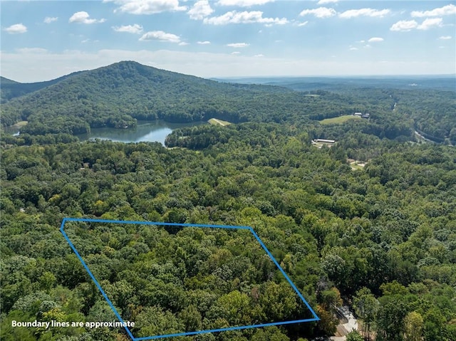 1205 Coachwhip Ct, Jasper, GA 30143