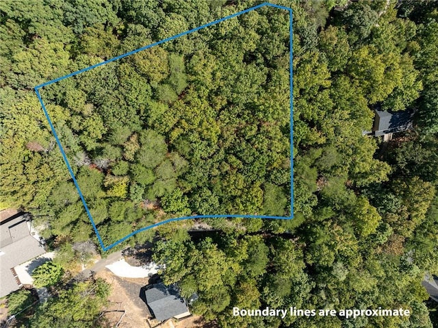 1205 Coachwhip Ct, Jasper, GA 30143