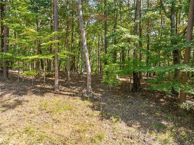 1205 Coachwhip Ct, Jasper, GA 30143