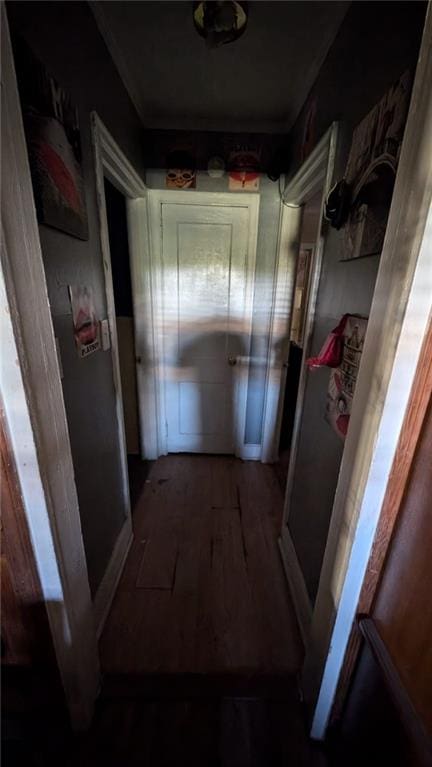 hall featuring dark hardwood / wood-style flooring