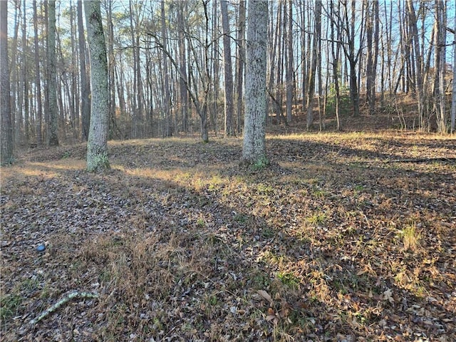 view of landscape