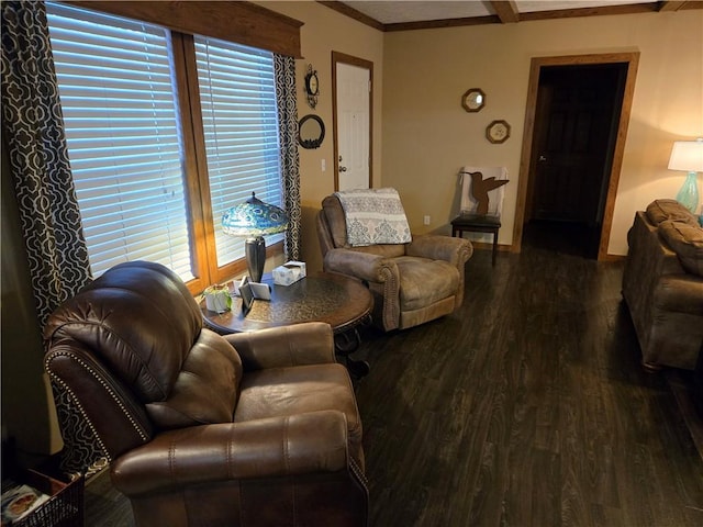 living area featuring wood finished floors and a wealth of natural light