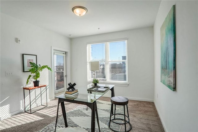 office featuring carpet floors