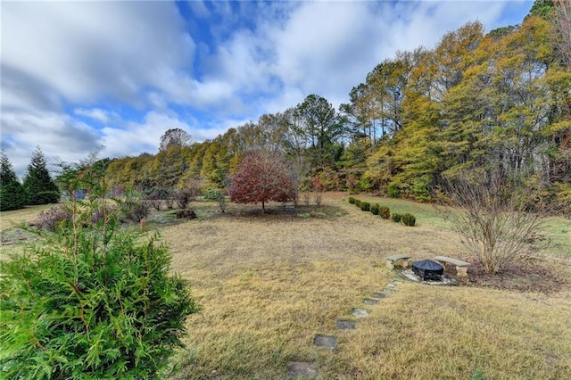 view of yard with a rural view