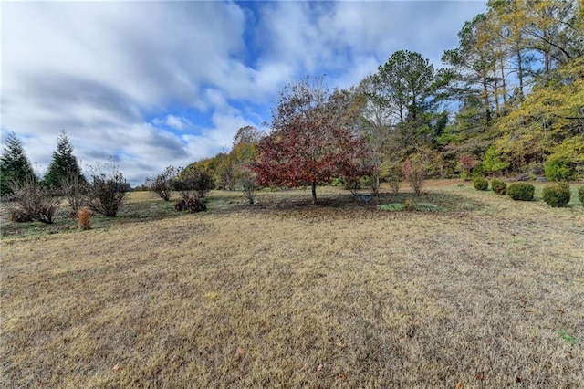 view of yard featuring a rural view