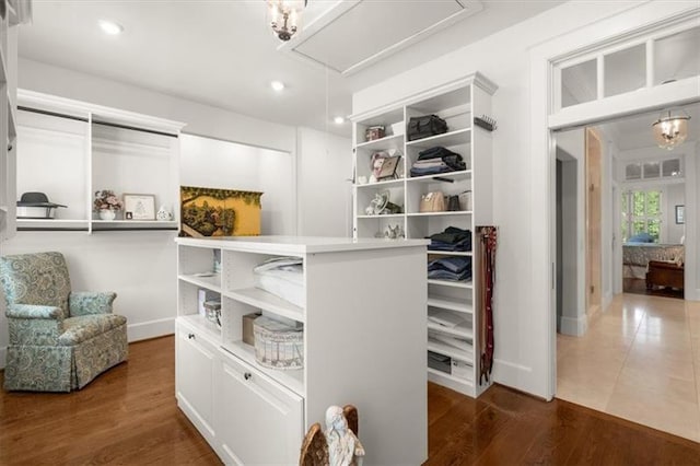 walk in closet with dark hardwood / wood-style floors