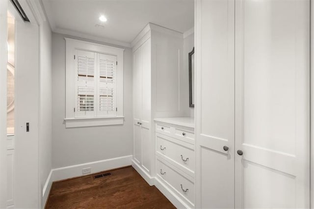 walk in closet featuring dark wood-type flooring