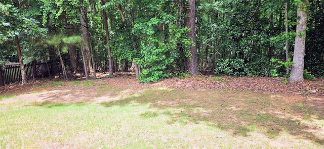 580 Hammersmith Dr, Suwanee, GA 30024 - view of yard
