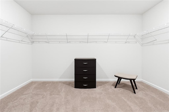 519 Magnolia Dr, Dawsonville, GA 30534 - spacious closet with light colored carpet