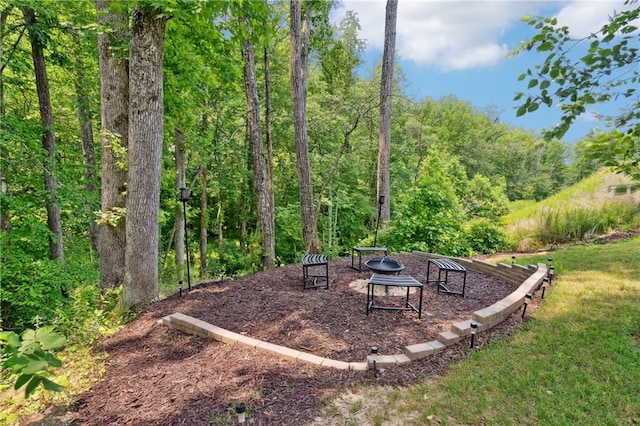 519 Magnolia Dr, Dawsonville, GA 30534 - view of yard featuring a wooded view