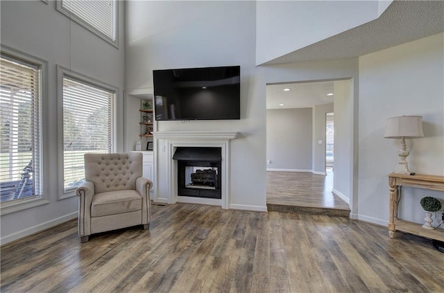 317 Shenandoah Dr NE, Calhoun, GA 30701 - living area with wood finished floors, a high ceiling, a multi sided fireplace, and baseboards