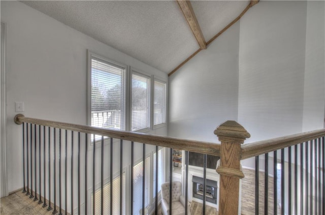 317 Shenandoah Dr NE, Calhoun, GA 30701 - hallway featuring a textured ceiling