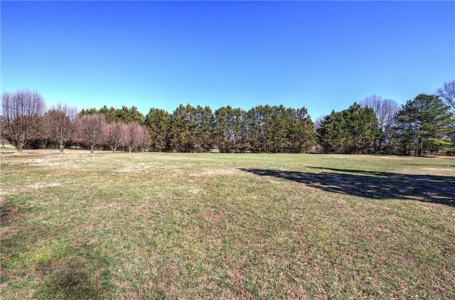 317 Shenandoah Dr NE, Calhoun, GA 30701 - view of grassy yard