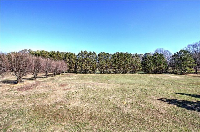 317 Shenandoah Dr NE, Calhoun, GA 30701 - view of grassy yard with a view of rural / pastoral area
