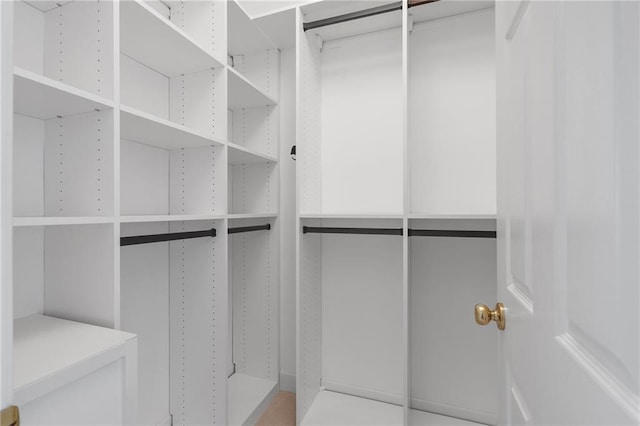 view of spacious closet