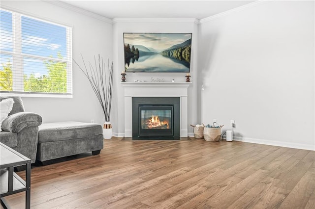 3135 Ellenton Dr, Lithia Springs, GA 30122 - sitting room with baseboards, a glass covered fireplace, ornamental molding, and wood finished floors