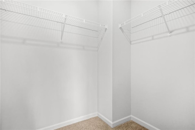 3135 Ellenton Dr, Lithia Springs, GA 30122 - spacious closet with carpet floors