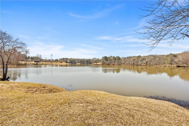 property view of water