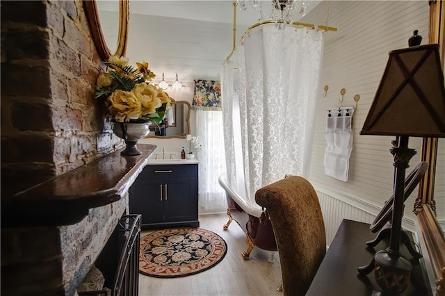 bathroom with wood-type flooring and vanity