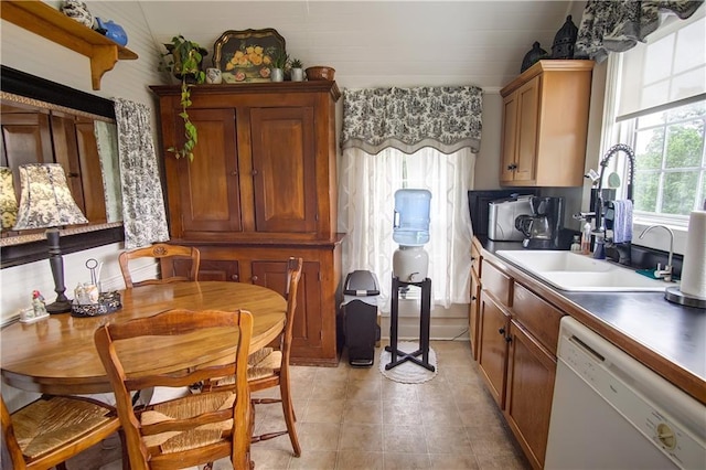 kitchen featuring a healthy amount of sunlight, dishwasher, and sink