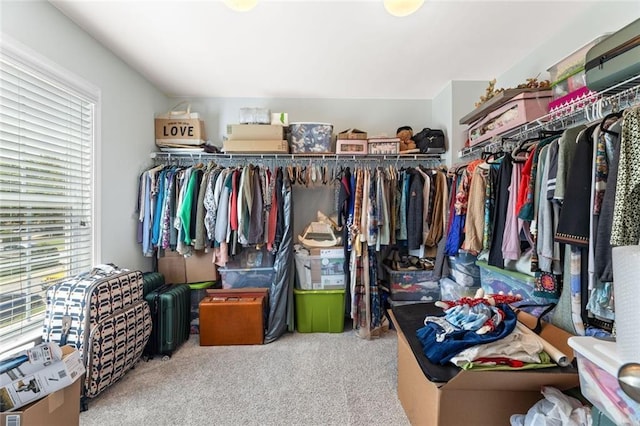 5415 Fieldfreen Dr, Cumming, GA 30028 - walk in closet with carpet flooring