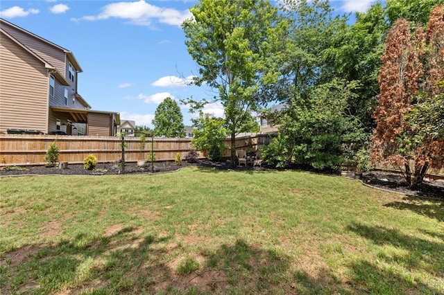 5415 Fieldfreen Dr, Cumming, GA 30028 - view of yard