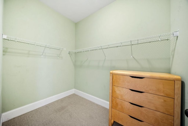 walk in closet featuring carpet