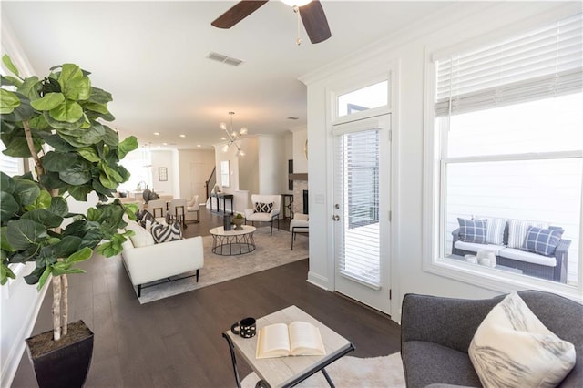 living area with ceiling fan with notable chandelier, dark wood-type flooring, and visible vents