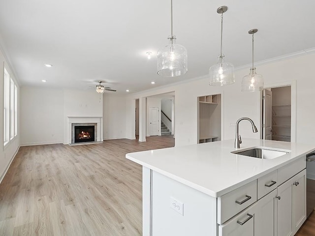 kitchen featuring white cabinets, an island with sink, sink, ornamental molding, and ceiling fan