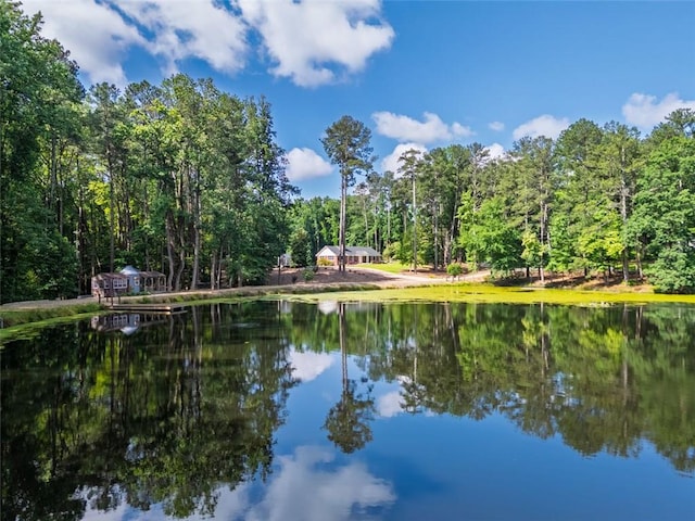1382 Varner Rd, Marietta, GA 30062 - water view with a heavily wooded area