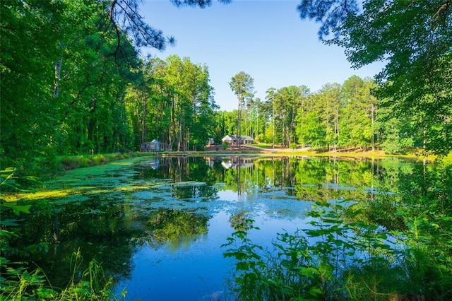 1382 Varner Rd, Marietta, GA 30062 - water view with a heavily wooded area