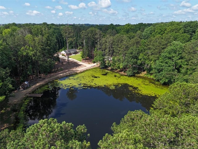 1382 Varner Rd, Marietta, GA 30062 - aerial view of a forest and a nearby body of water
