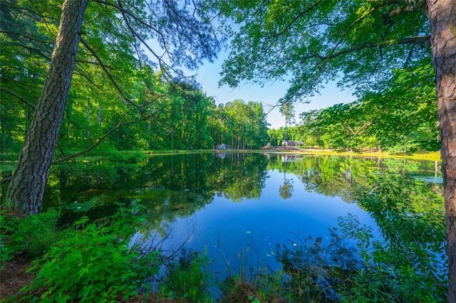 1382 Varner Rd, Marietta, GA 30062 - water view with a forest