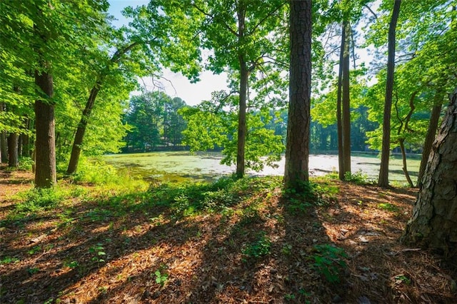 1382 Varner Rd, Marietta, GA 30062 - view of woods