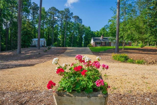 1382 Varner Rd, Marietta, GA 30062 - view of yard
