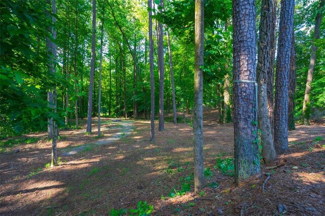 1382 Varner Rd, Marietta, GA 30062 - view of woods