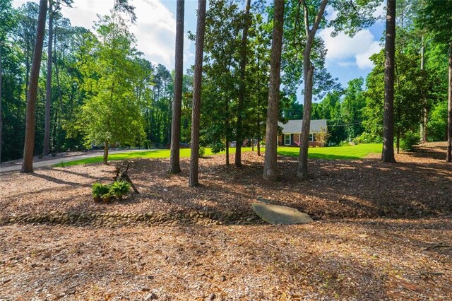 1382 Varner Rd, Marietta, GA 30062 - view of property's community featuring a forest view, a water view, an outdoor structure, and a boat dock