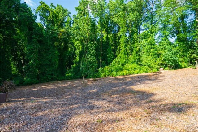 1382 Varner Rd, Marietta, GA 30062 - view of nature
