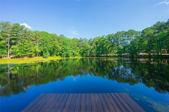 1382 Varner Rd, Marietta, GA 30062 - dock with a water view