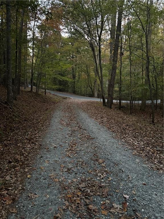 0 Shiloh Ct, Ellijay GA, 30540 land for sale