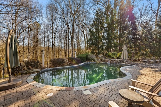 view of pool with a patio