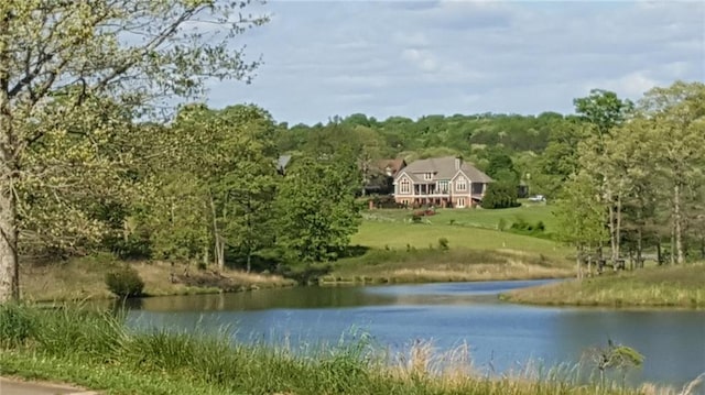 486 Gold Bullion Dr E, Dawsonville, GA 30534 - water view with a heavily wooded area